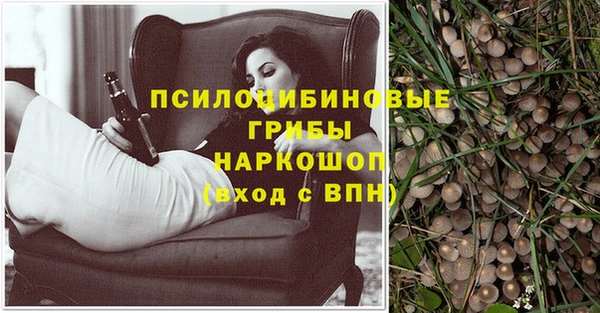 дурь Болохово
