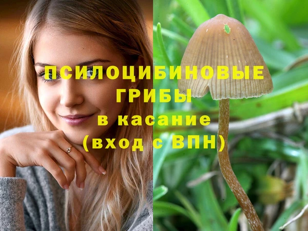 дмт Вязники