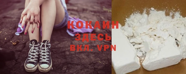 гашик Нея
