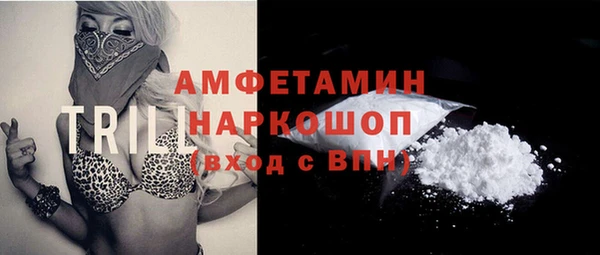гашик Нея