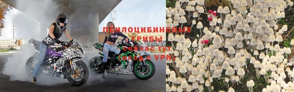 гашик Нея