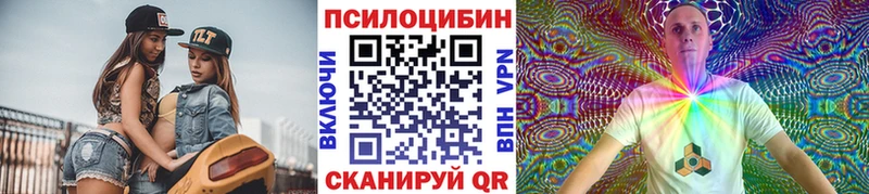 ОМГ ОМГ рабочий сайт  Покровск  Псилоцибиновые грибы Psilocybine cubensis 