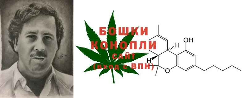 Бошки Шишки White Widow  что такое наркотик  Покровск 