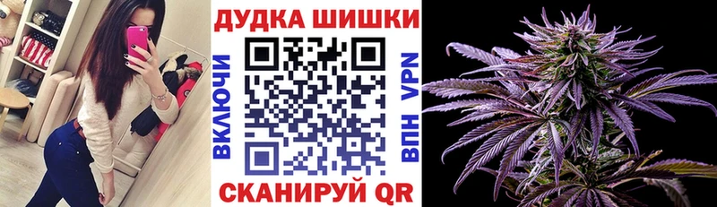 МАРИХУАНА сатива Покровск